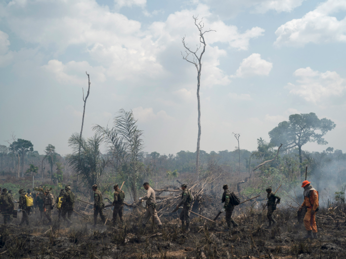 After facing intense scrutiny from the international community, Brazilian president Jair Bolsonaro agreed to send in 44,000 troops to fight the fires at the end of August.