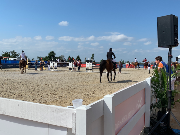 As I walked towards the VIP tent, I had to cross the course, which brought me right up close to the animals and their riders.