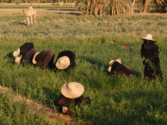 Their yields cater for a lot of the remaining population. Once the harvest is over, the focus turns to soil, which is gathered for repairs.