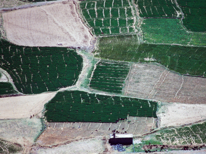 Outside the city, the land is fertile from regular floods. Farmers harness it for growing crops.