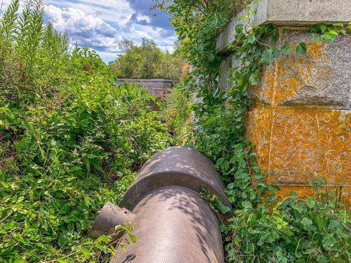 The roof of the fort holds some treasures in its foliage, like this relic.