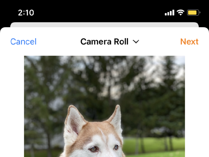 Next, in the Polaroid app, access your camera roll and choose a photo. (The device works with both iPhones and Android phones).