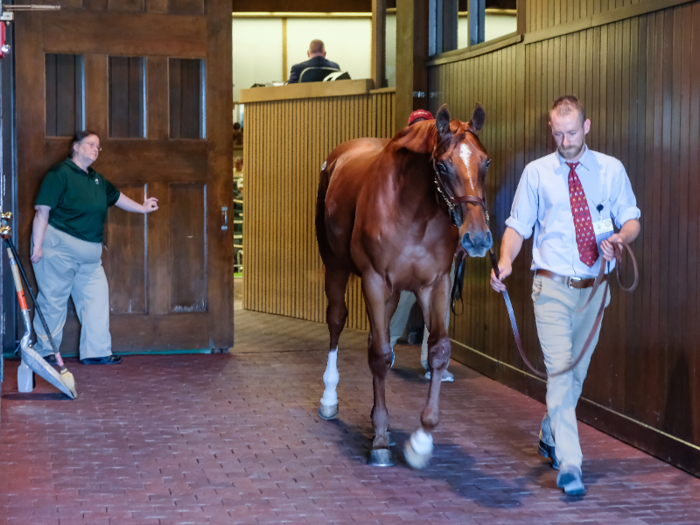 Once the bidding has been closed, each horse is brought back to its temporary stall at Keeneland