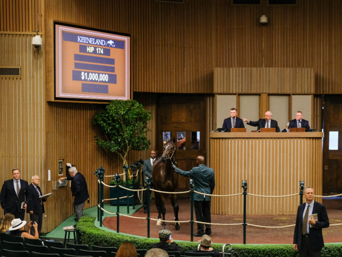 While the atmosphere during the auction was relatively subdued most of the time, the energy changed noticeably when bids for a horse surpassed $1 million.