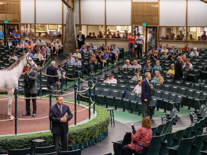 The most coveted yearlings up for auction at the September sale are the offspring of high-profile race horses such as 2015 Triple Crown winner American Pharoah and 2018 champion Justify.