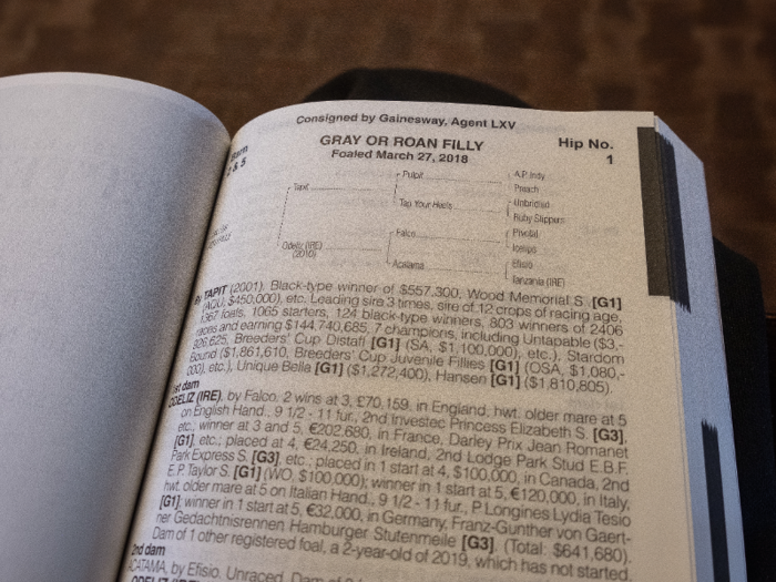 Potential buyers can learn more about each yearling in the sales guide.