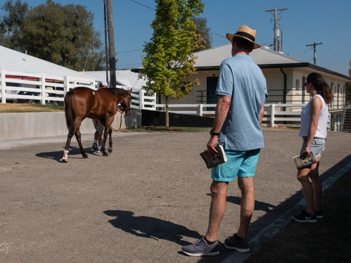 But some people were still viewing horses just a couple of hours before the sale was set to start, perhaps taking one last look before deciding to bid.