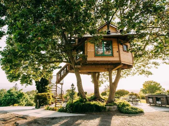 9. For $350, this San Jose treehouse is nestled between three sycamore trees.