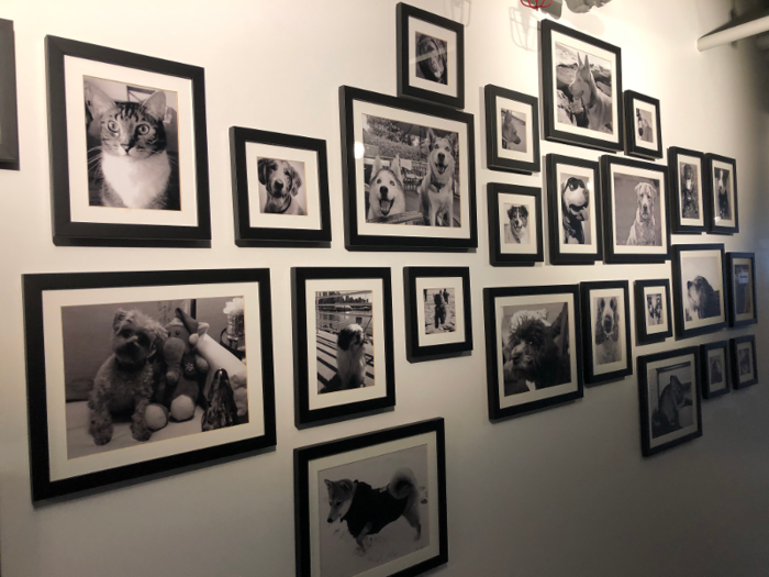 The office also has a wall covered with framed photos of employee pets. There were a lot of dogs, some cats, and at least one hamster, from what I saw.