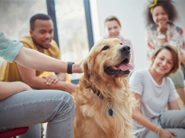 Emotional-support animals in the workplace have become more commonplace to improve employee mental health.