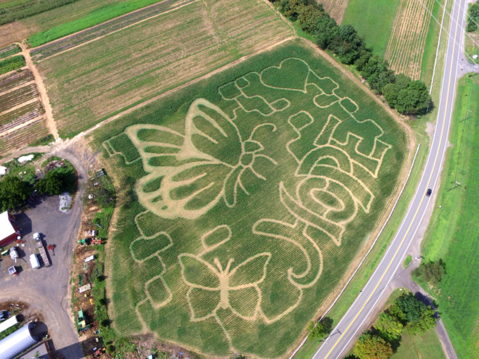 Every season, Watts designs about 90 mazes, with prices ranging from $1,900 to $2,500 each, he said.