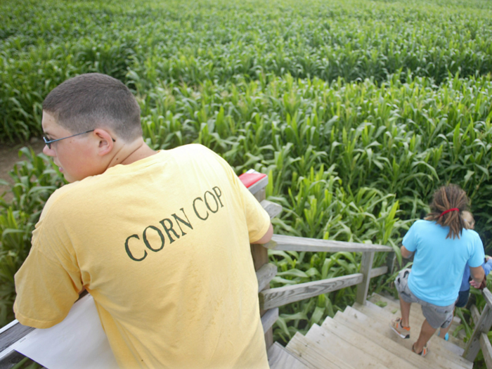 Watts specializes in small- to medium-size mazes — about three to eight acres — and markets himself as an affordable choice. Most customers find him via Google.