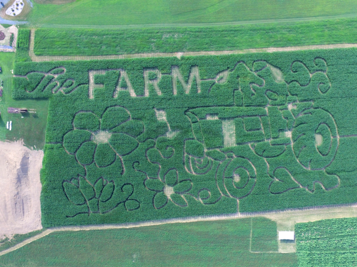 Watts said that most customers come to him with their own design ideas and that pumpkins, tractors, farm designs, and patriotic designs are the most popular.