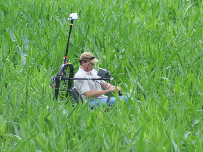 When the corn has grown to about 2 feet tall, Watts brings a commercial zero-turn mower to the site and cuts the design into the field by following the paths displayed on the GPS. This usually takes less than two hours.