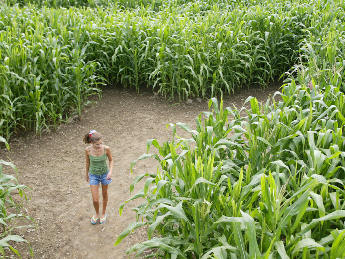 "I had acquired skills and training in art, farming and computers. I didn