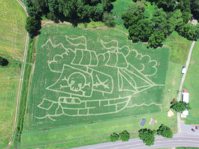 Since designing his first maze in 1989, Watts has created more than 900 labyrinths in locations as far as Maine, Florida, and Iowa.