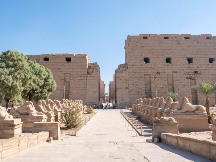 The coffins are part of a series of findings archaeologists have made since they began researching areas around the modern-day city of Luxor in December 2017.