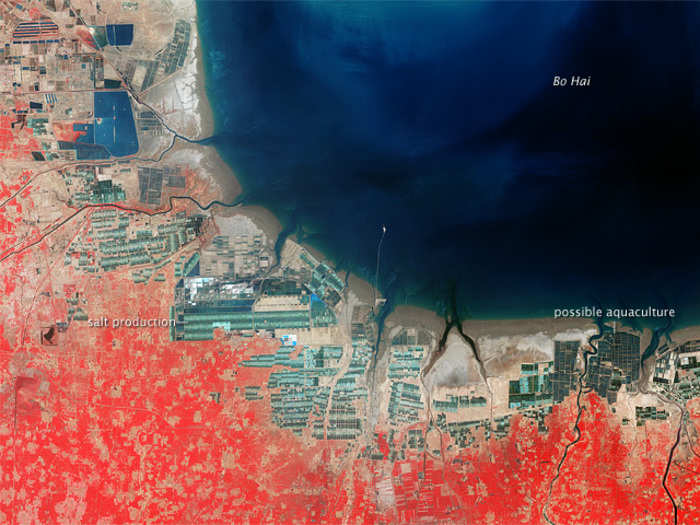 NASA’s Enhanced Thematic Mapper Plus on the Landsat 7 satellite photographs the Bo Hai coast in China’s Shandong Province, which has a long history of producing salt