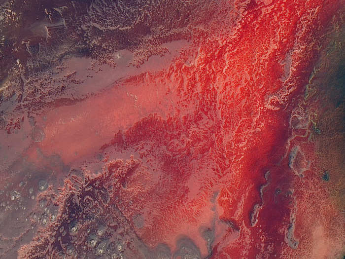 Tanzania’s lifeless Lake Natron full of warm, salty and alkaline water shines a bright red when seen from space