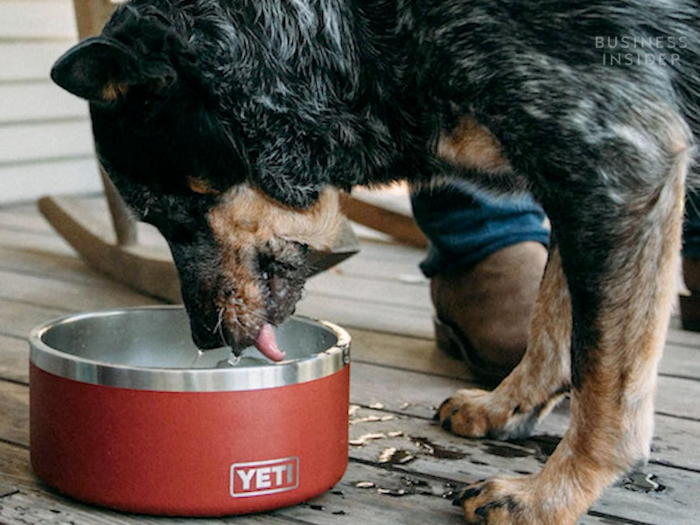 ... and even dog bowls.