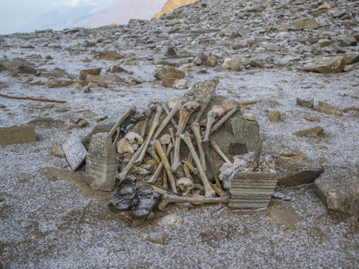 Some travelers have collected the bones and stacked them in piles, out of fascination or perhaps respect. But such human interference disturbs the site, Harney said.