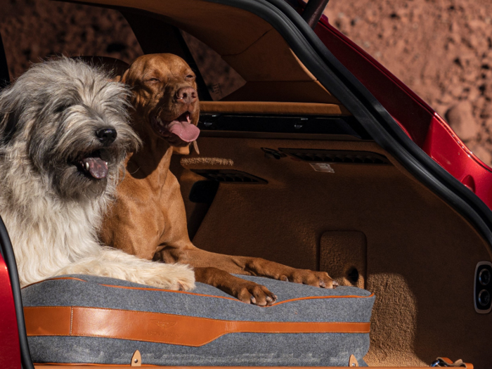 There’s also a Pet Pack for car owners with furry friends. It comes with a partitioned space in the trunk for the pets, a rear bumper protector for when dogs jump in and out of the car, and a portable pet washer.