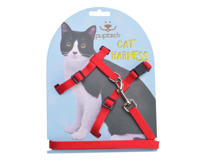 The best budget cat harness