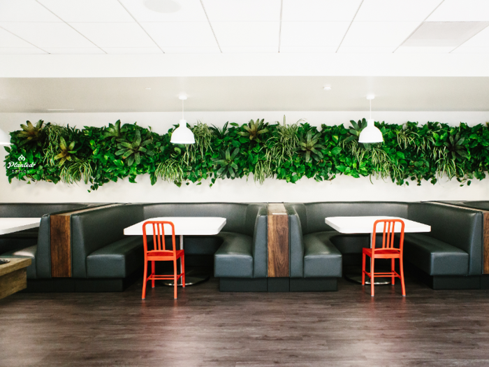 Office perks used to include junk food and catered lunches, but for a health-conscious generation, plant walls could keep them at work longer. This installation is located in Open Table