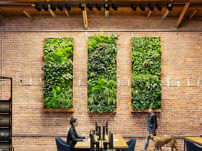 Colman said that plant walls give an office environment "a different tenor," almost making employees feel like they