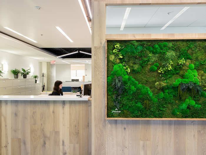 Venture Capital firms have jumped on the trend. This installation welcomes employees and clients at VC Ridge Ventures in San Francisco.