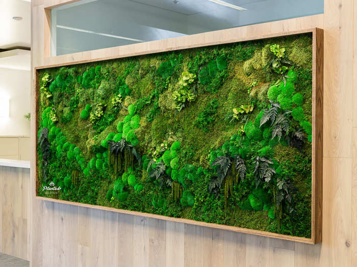 Colman explained that where a company might have previously installed a large, expensive piece of art, now it sees a plant wall as an option with "more bang for their buck," and she described these walls as "art with benefits."