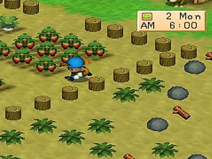 42. "Harvest Moon 64"