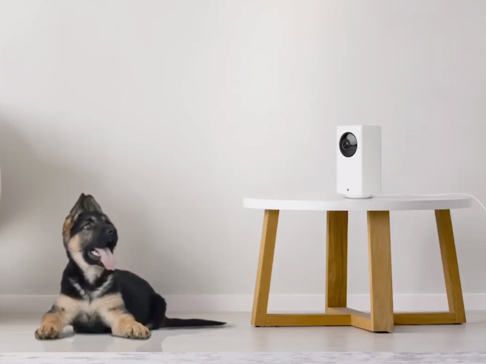 The best indoor security camera