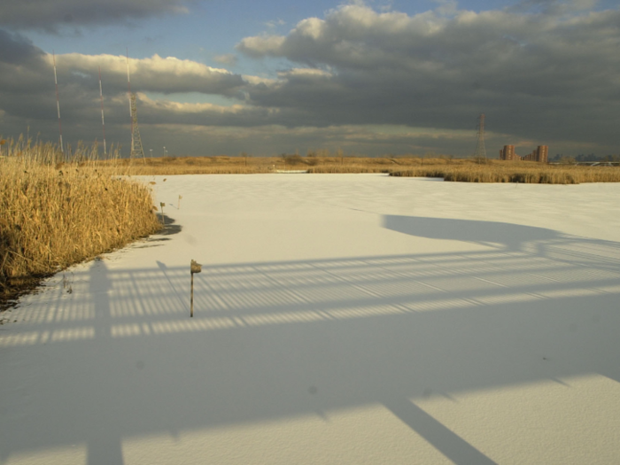 In the early 2000s, mall developers clashed with environmentalists who wished to preserve the ecology of the New Jersey wetlands in the proposed site of the complex.