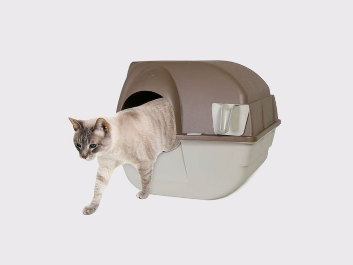 The best self-cleaning litter box