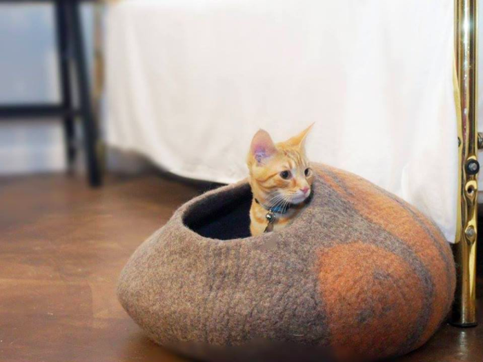 The best natural cat bed