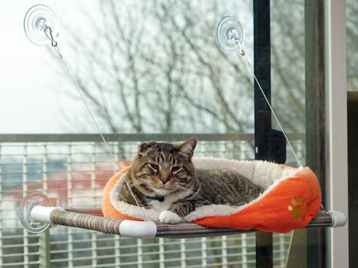 The best window perch cat bed