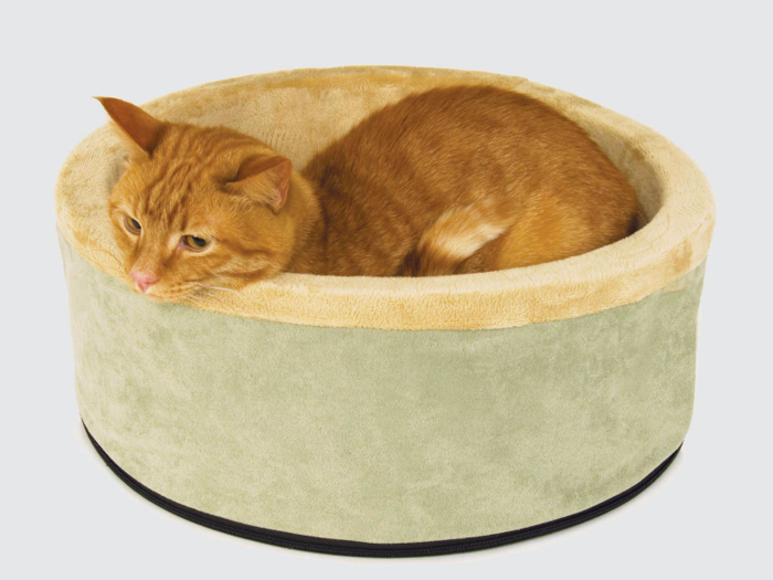 The best heated cat bed