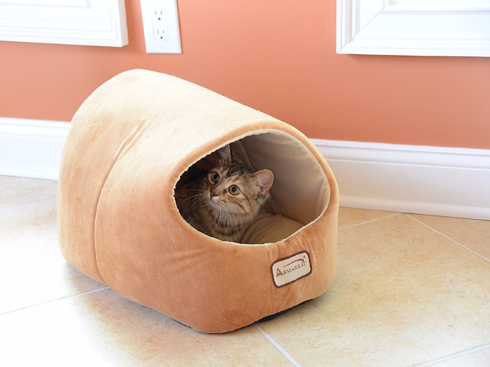 The best covered cat bed