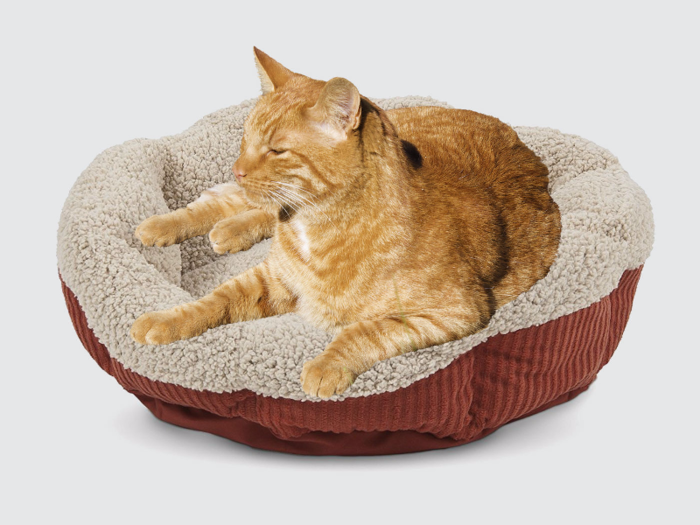 The best budget cat bed