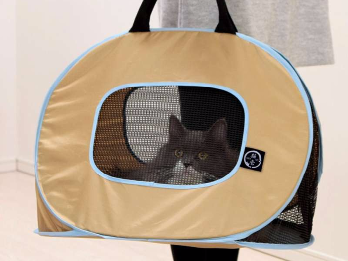 The best budget cat carrier