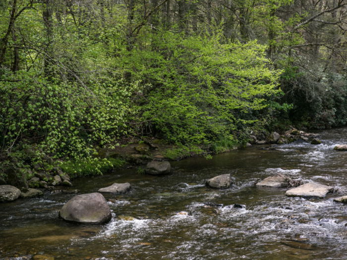 Despite having a sports car infatuation at the beginning of his career, Sweeney has since spent his millions on conservation efforts in North Carolina. He bought 193 acres in Alamance County for​ preservation and donated $15 million to protect 7,000 acres of forests in western North Carolina.