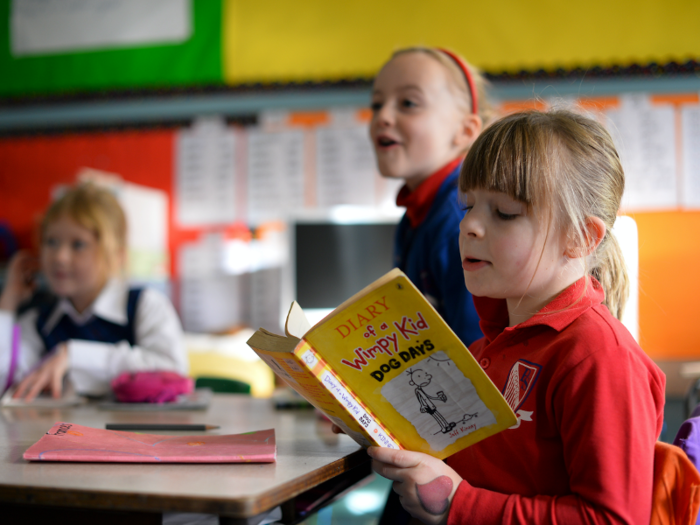 To provide a variety of reading options for their more curious students, teachers will create their own classroom libraries by purchasing books themselves.