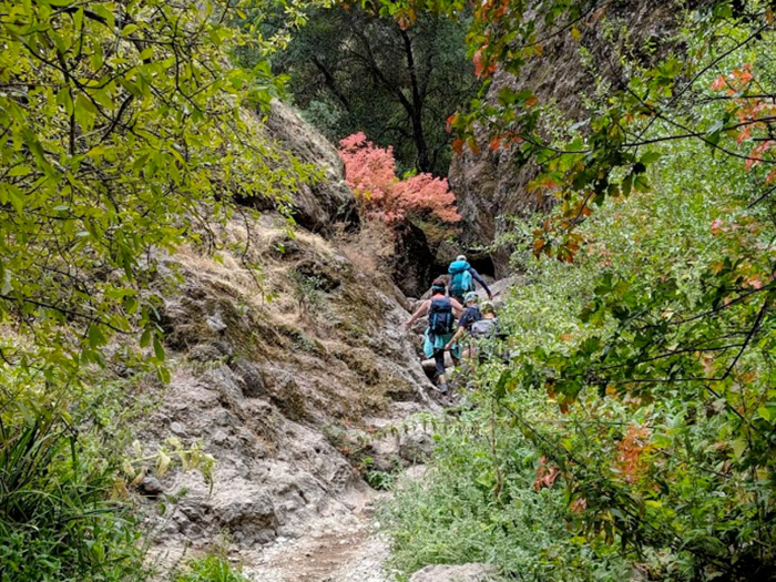 ... exposed us to woodsy areas that made Pinnacles feel like a completely different park ...