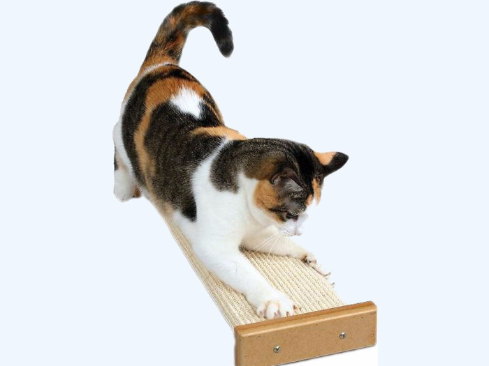 The best combination cat scratching post