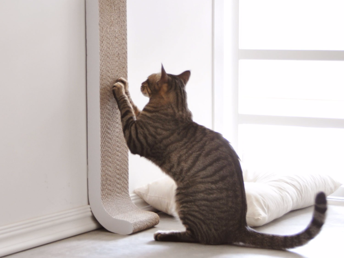 The best wall-mounted cat scratching post