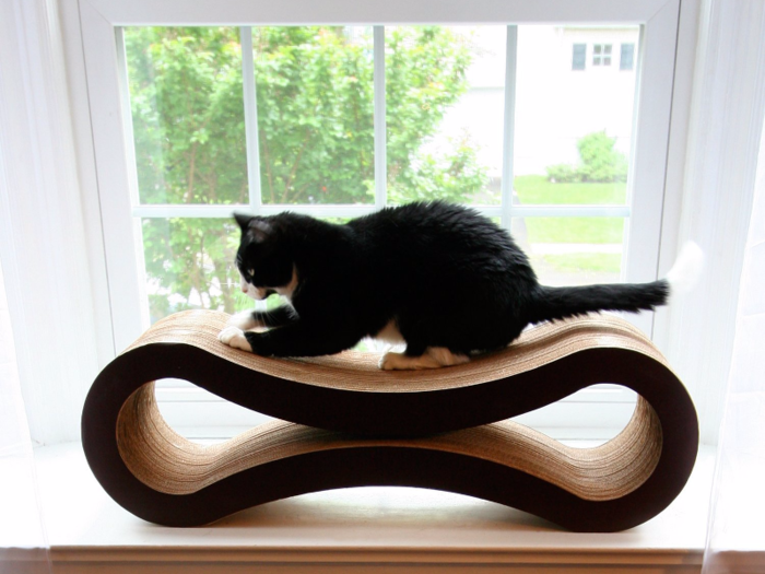 The best cat scratcher lounge