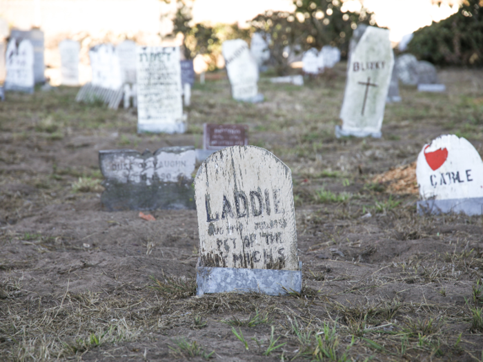 This is where military personnel and their families laid their furry friends to rest. There are over 400 tombstones with names like Laddie and Schmelly inscribed on them.