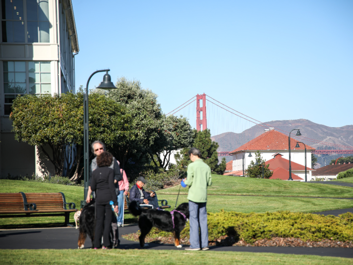 Three of San Francisco