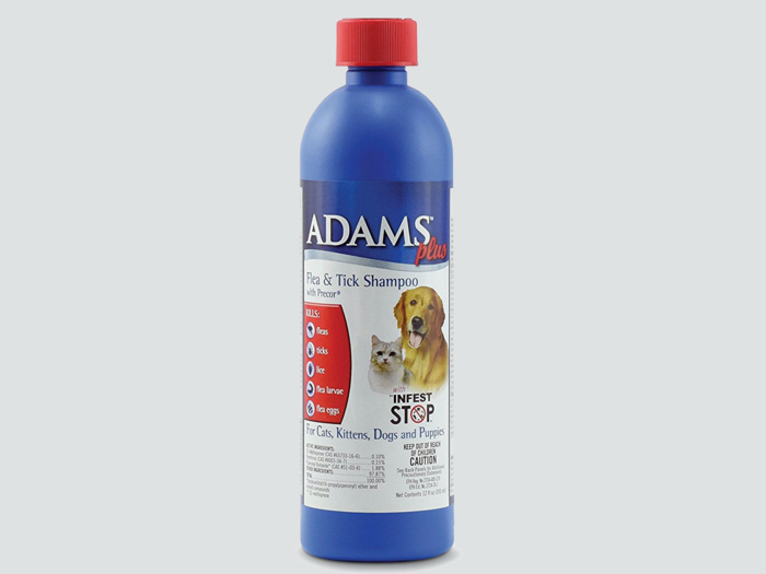 The best flea shampoo for dogs